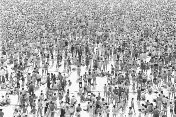 Photograph Alan Burles Life on One Eyeland